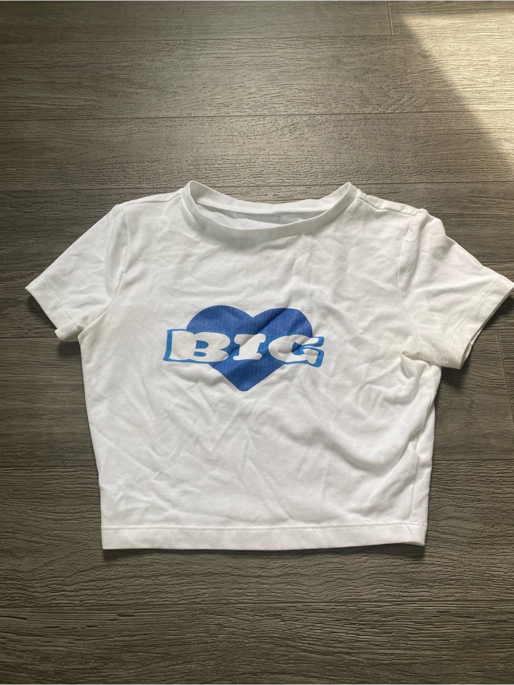Wild fable XS ‘BIG’ cropped tee